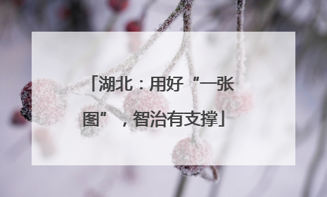湖北：用好“一张图”，智治有支撑