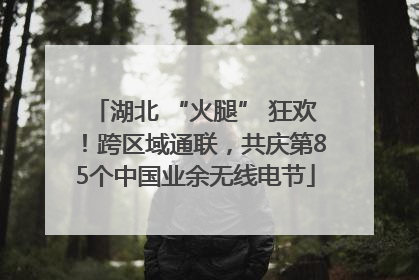 湖北 “火腿” 狂欢！跨区域通联，共庆第85个中国业余无线电节