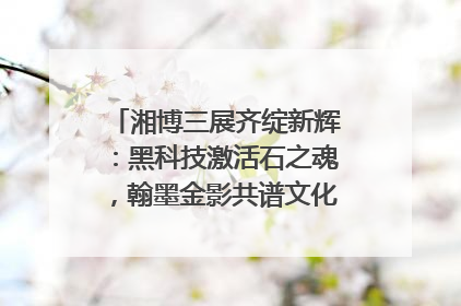 湘博三展齐绽新辉：黑科技激活石之魂，翰墨金影共谱文化遗产日华章