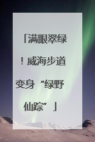 满眼翠绿！威海步道变身“绿野仙踪”