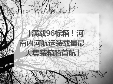 满载96标箱！河南内河航运装载量最大集装箱船首航