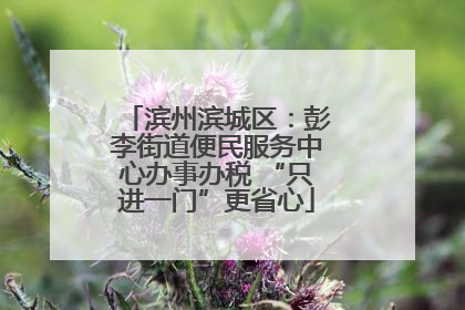 滨州滨城区：彭李街道便民服务中心办事办税 “只进一门”更省心