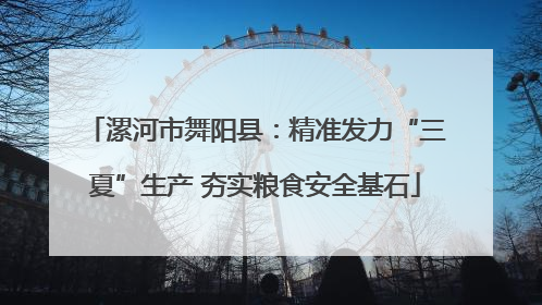 漯河市舞阳县：精准发力“三夏”生产 夯实粮食安全基石