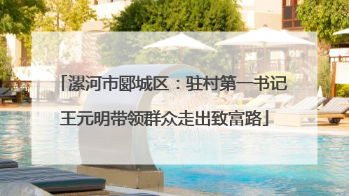 漯河市郾城区：驻村第一书记王元明带领群众走出致富路