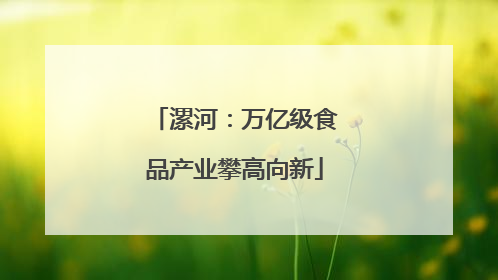 漯河：万亿级食品产业攀高向新