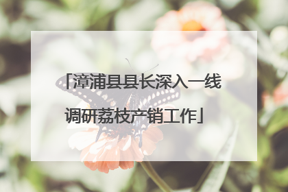 漳浦县县长深入一线调研荔枝产销工作