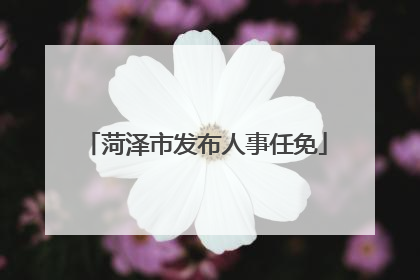 菏泽市发布人事任免