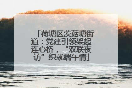 荷塘区茨菇塘街道：党建引领架起连心桥，“双联夜访”织就端午情