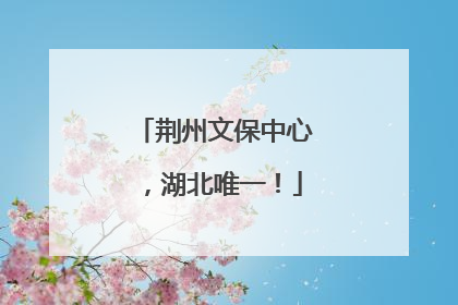 荆州文保中心，湖北唯一！