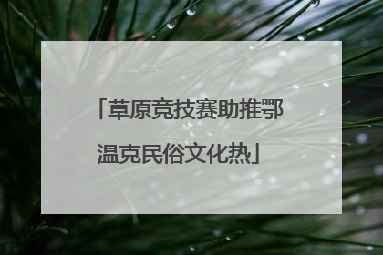 草原竞技赛助推鄂温克民俗文化热