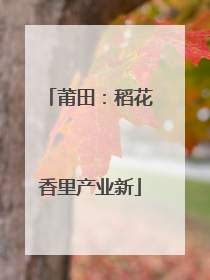 莆田：稻花香里产业新