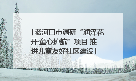 老河口市调研“润泽花开·童心护航”项目 推进儿童友好社区建设