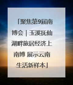 聚焦第9届南博会｜玉溪抚仙湖畔旅居经济上南博 展示云南生活新样本