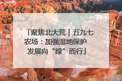 聚焦北大荒｜五九七农场：加强湿地保护 发展向“绿”而行