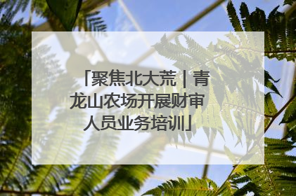聚焦北大荒｜青龙山农场开展财审人员业务培训