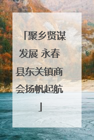 聚乡贤谋发展 永春县东关镇商会扬帆起航