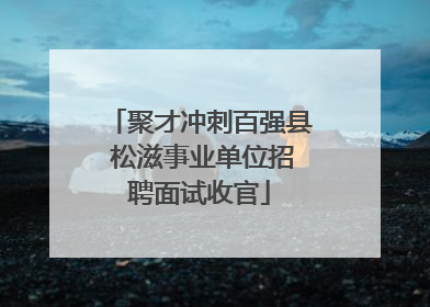 聚才冲刺百强县 松滋事业单位招聘面试收官