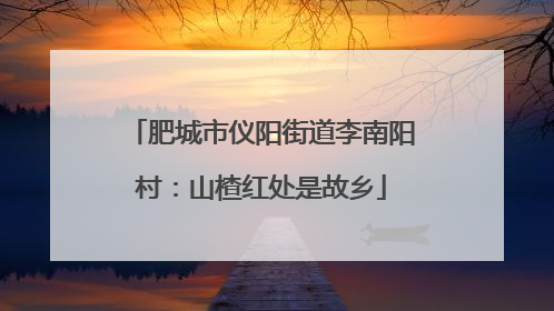 肥城市仪阳街道李南阳村：山楂红处是故乡