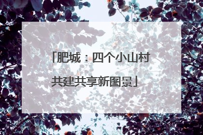 肥城：四个小山村共建共享新图景