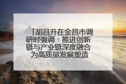 胡昌升在金昌市调研时强调：推进创新链与产业链深度融合 为高质量发展塑造新动能新优势
