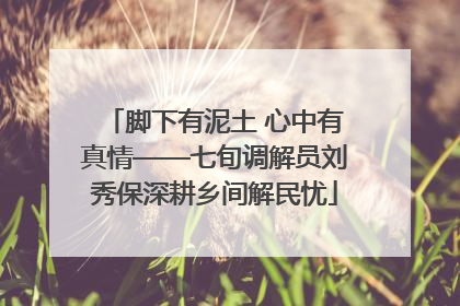 脚下有泥土 心中有真情——七旬调解员刘秀保深耕乡间解民忧