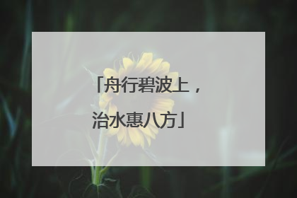 舟行碧波上，治水惠八方