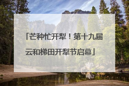 芒种忙开犁！第十九届云和梯田开犁节启幕