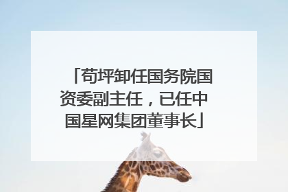 苟坪卸任国务院国资委副主任，已任中国星网集团董事长