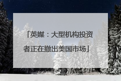 英媒：大型机构投资者正在撤出美国市场