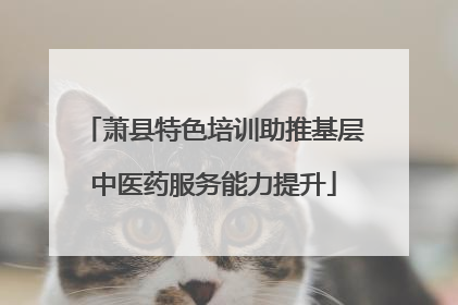 萧县特色培训助推基层中医药服务能力提升