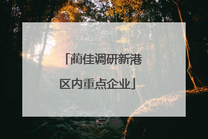 蔺佳调研新港区内重点企业