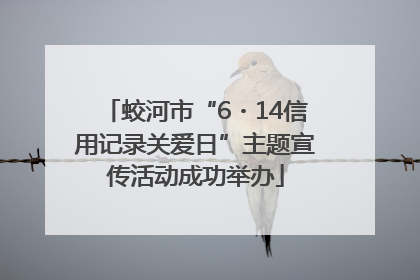 蛟河市“6・14信用记录关爱日”主题宣传活动成功举办