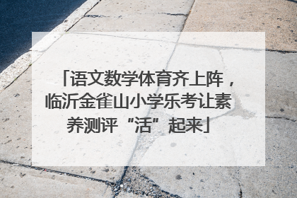 语文数学体育齐上阵，临沂金雀山小学乐考让素养测评“活”起来