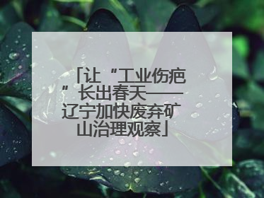 让“工业伤疤”长出春天——辽宁加快废弃矿山治理观察