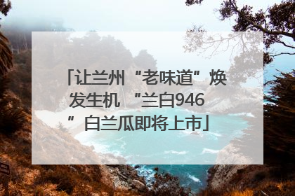 让兰州“老味道”焕发生机 “兰白946”白兰瓜即将上市