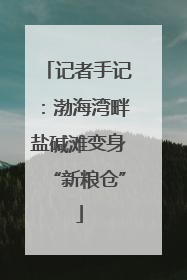 记者手记：渤海湾畔盐碱滩变身“新粮仓”