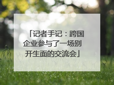记者手记：跨国企业参与了一场别开生面的交流会
