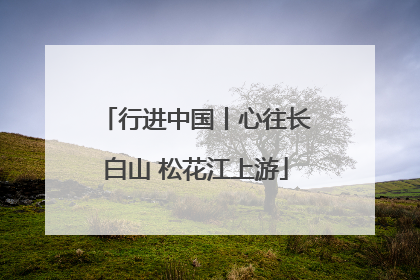 行进中国丨心往长白山 松花江上游