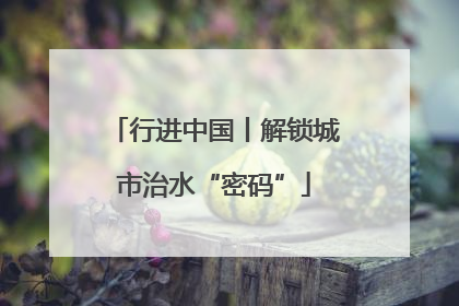 行进中国丨解锁城市治水“密码”