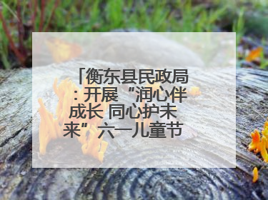 衡东县民政局：开展“润心伴成长 同心护未来”六一儿童节系列关爱活动