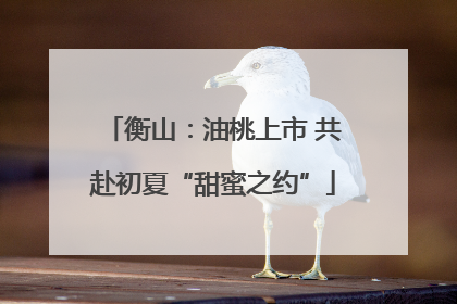 衡山：油桃上市 共赴初夏“甜蜜之约”