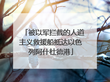 被以军拦截的人道主义救援船抵达以色列阿什杜德港