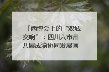西博会上的“双城交响”：四川六市州共展成渝协同发展画卷｜西博视界