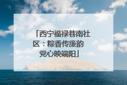 西宁福禄巷南社区：粽香传廉韵 党心映端阳