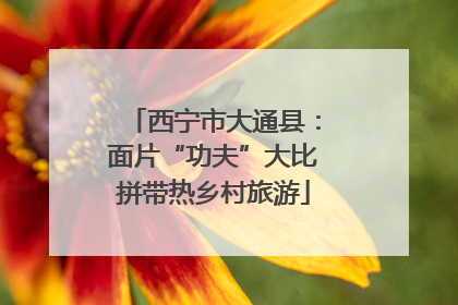 西宁市大通县：面片“功夫”大比拼带热乡村旅游