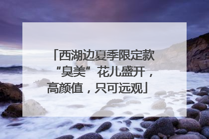 西湖边夏季限定款“臭美”花儿盛开，高颜值，只可远观