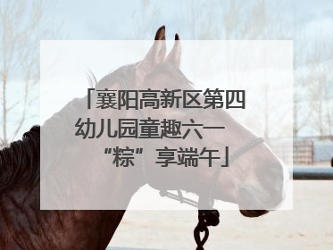 襄阳高新区第四幼儿园童趣六一 “粽”享端午
