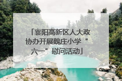 襄阳高新区人大政协办开展魏庄小学“六一”慰问活动