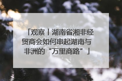 观察丨湖南省湘非经贸商会如何串起湖南与非洲的“万里商路”