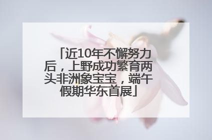 近10年不懈努力后，上野成功繁育两头非洲象宝宝，端午假期华东首展